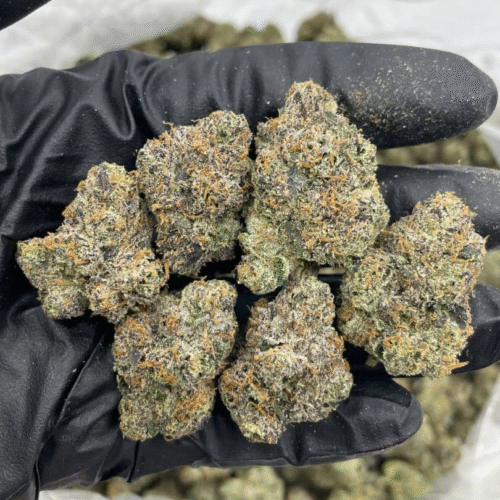 LEMON CHERRY