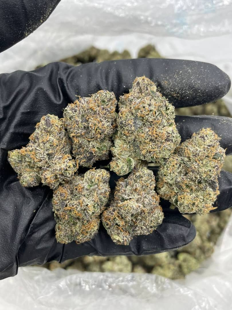 LEMON CHERRY