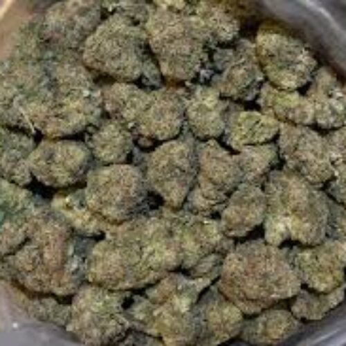 Black runtz strain