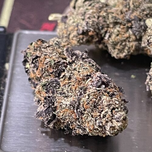 black gumbo strain