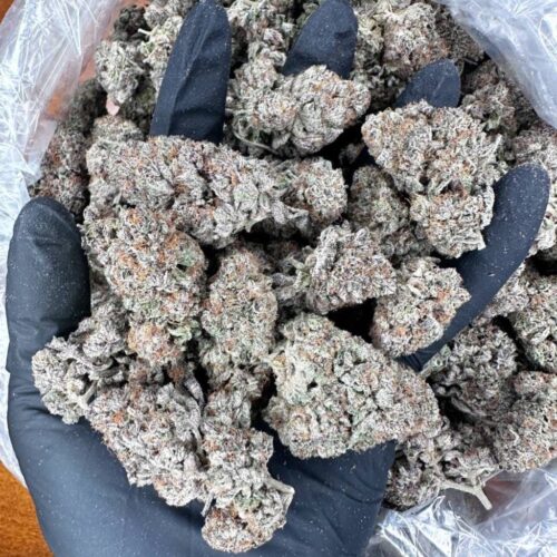 Big drip strain
