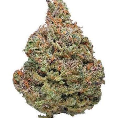 Afghani strain