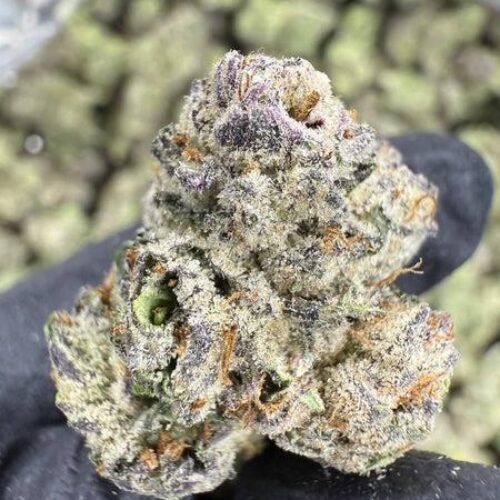 Apple mochi strain