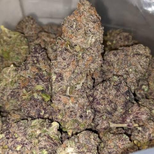 Berry gelato strain