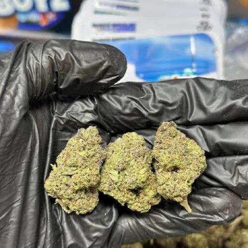 cherry candy strain