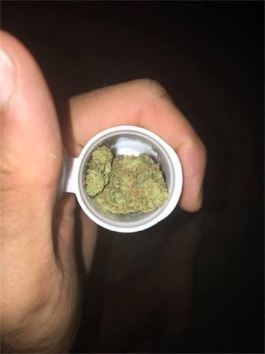 Cactus cooler strain