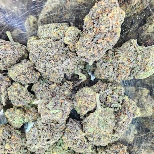 Candy gumbo strain