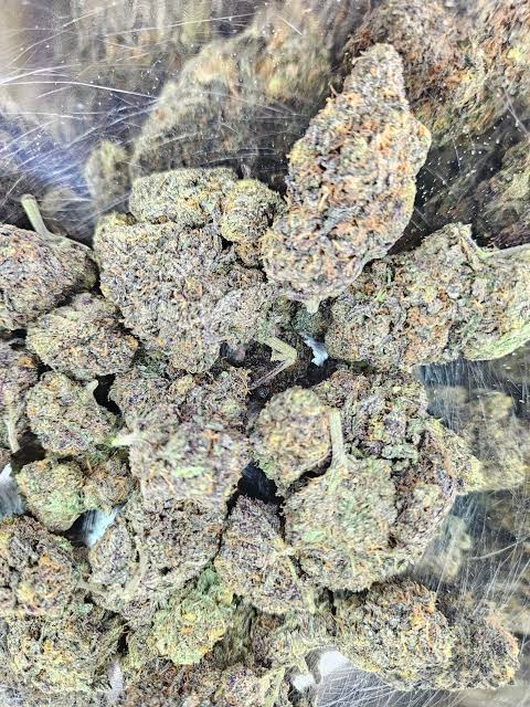 Candy gumbo strain