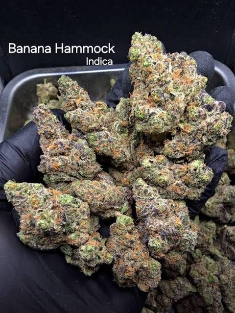 candy lemonz strain