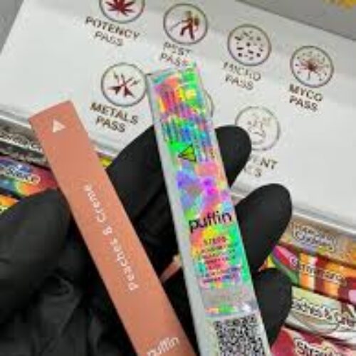 waxx barz disposable