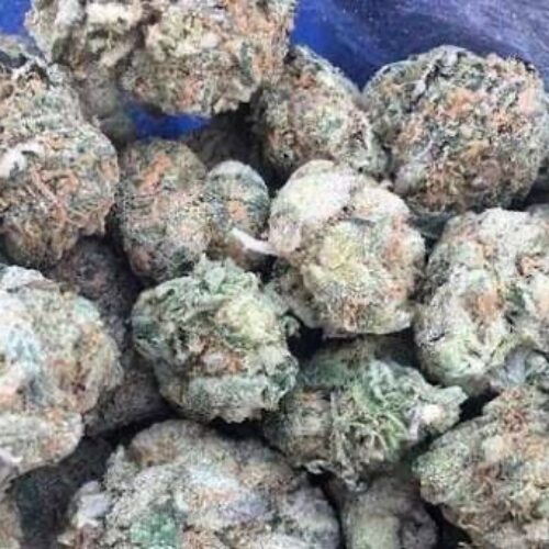 Coco pebbles strain