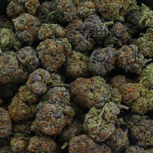 Coffee cake strain