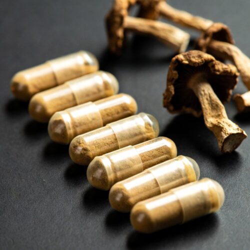 Shroom Capsules