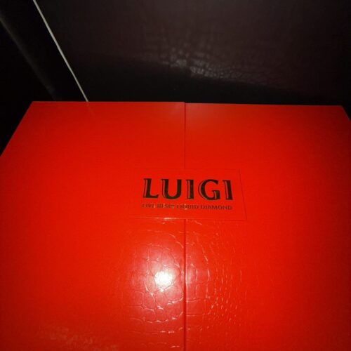 New Luigi 2G